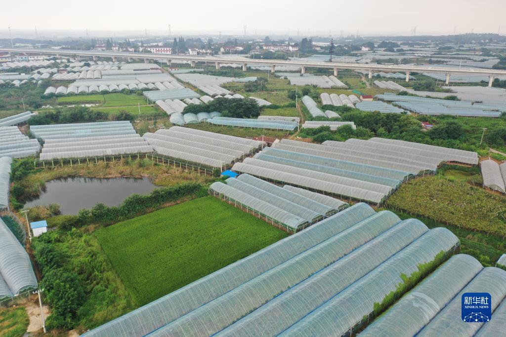 太阳集团平台网址
